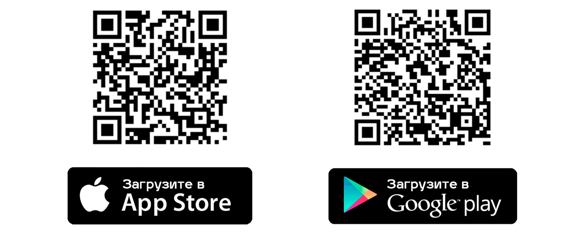 TrendVision_Hybrid_Signature_Real_4K_(1) (2).png
